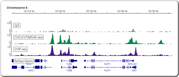 使用 Abcam CUT&RUN 驗證抗體 Recombinant Anti-CTCF antibody [EPR18253] - ChIP Grade (ab188408) 進行 CUT&RUN-seq 與 ChIP-seq 實驗，結果顯示兩者數據有高度一致性