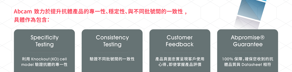 Abcam致力於提升抗體產品的專一性、穩定性、與不同批號間的一致性, 具體作為包含：■Specificity Testing - 利用Knockout (KO) cell model驗證抗體的專一性。 ■Consistency Testing - 驗證不同批號間的一致性。 ■Customer Feedback - 產品頁面忠實呈現客戶使用心得，即使掌握產品評價。 ■Abpromise® Guarantee - 100%保障，確保您收到的抗體品質與Datasheet相符。