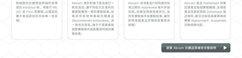 Abcam致力於提升抗體產品的專一性、穩定性、與不同批號間的一致性, 具體作為包含：■Specificity Testing - 將細胞內抗體預設辨識的目標蛋白knockout後, 再進行WB, IHC或Flow等實驗，以確認抗體不會誤認到任何非專一性目標。 ■Consistency Testing - Abcam會針對旗下產品進行一致性測試，讓不同批次生產的抗體都能獲得一致的實驗結果。如果研究者使用重組抗體產品(Recombinant Antibodies)，其一致性非常高，幾乎不需要重新調整實驗條件就能獲得同樣的實驗結果。 ■Customer Feedback - Abcam 各項產品介紹頁面均採用公開的Abpreview客戶評論系統，忠實呈現使用者評分，並附有實驗條件與實驗結果，讓您即時掌握產品評價與真實使用經驗！ ■Abpromise® Guarantee - Abcam產品Datasheet詳實記錄產品驗證實驗數據，並保證產品性能表現與Datasheet描述相符。歡迎洽詢伯森業務專員瞭解Abpromise® Guarantee 完整保障內容。《前往瀏覽Abcam抗體品質確校完整說明》