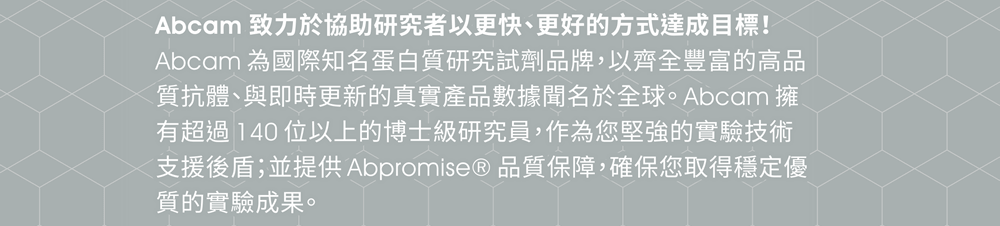 【Abcam 致力於協助研究者以更快、更好的方式達成目標！】Abcam為國際知名蛋白質研究試劑品牌，以齊全豐富的高品質抗體、與即時更新的真實產品數據聞名於全球。Abcam擁有超過140位以上的博士級研究員，作為您堅強的實驗技術支援後盾；並提供Abpromise®品質保障，確保您取得穩定優質的實驗成果。