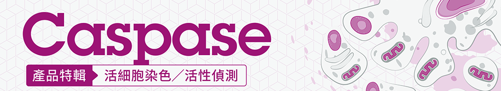 Caspase 活細胞染色暨活性偵測產品特輯