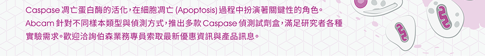 Caspase凋亡蛋白酶的活化，在細胞凋亡(Apoptosis)過程中扮演著關鍵性的角色。Abcam針對不同樣本類型與偵測方式，推出多款Caspase偵測試劑盒，滿足研究者各種實驗需求。歡迎洽詢伯森業務專員索取最新優惠資訊與產品訊息。