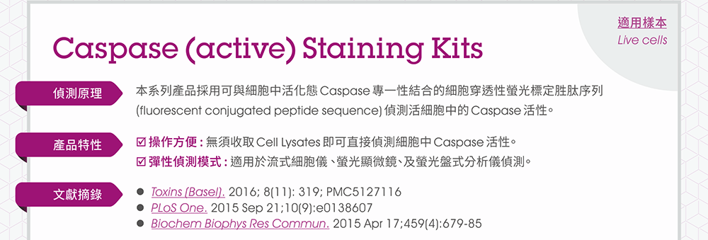 Abcam Caspase (active) Staining Kits -- 【偵測原理】本系列產品採用可與細胞中活化態Caspase專一性結合的細胞穿透性螢光標定胜肽序列(fluorescent conjugated peptide sequence)偵測活細胞中的Caspase活性。【產品特性】●操作方便 : 無須收取Cell Lysates即可直接偵測細胞中Caspase活性。 ●彈性偵測模式 : 適用於流式細胞儀 、螢光顯微鏡、及螢光盤式分析儀偵測。【適用樣本】Live cells【文獻摘錄】●Toxins (Basel). 2016; 8(11): 319; PMC5127116 ●PLoS One. 2015 Sep 21;10(9):e0138607 ●Biochem Biophys Res Commun. 2015 Apr 17;459(4):679-85