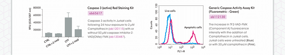 Abcam Caspase (active) Staining Kits 產品效能數據圖