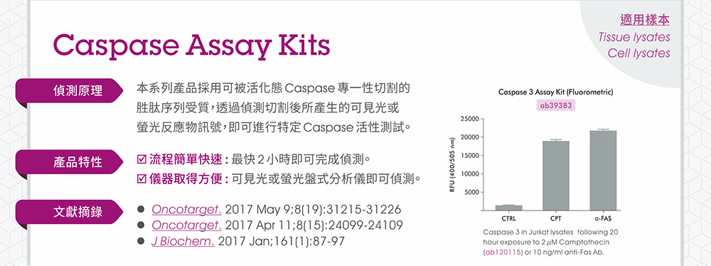 Abcam Caspase Assay Kits -- 【偵測原理】本系列產品採用可被活化態Caspase專一性切割的胜肽序列受質，透過偵測切割後所產生的可見光或螢光反應物訊號，即可進行特定Caspase活性測試。【產品特性】●流程簡單快速 : 最快2小時即可完成偵測。●儀器取得方便 : 可見光或螢光盤式分析儀即可偵測。【適用樣本】Tissue lysates, Cell lysates 【文獻摘錄】●Oncotarget. 2017 May 9;8(19):31215-31226 ●Oncotarget. 2017 Apr 11;8(15):24099-24109 ●J Biochem. 2017 Jan;161(1):87-97