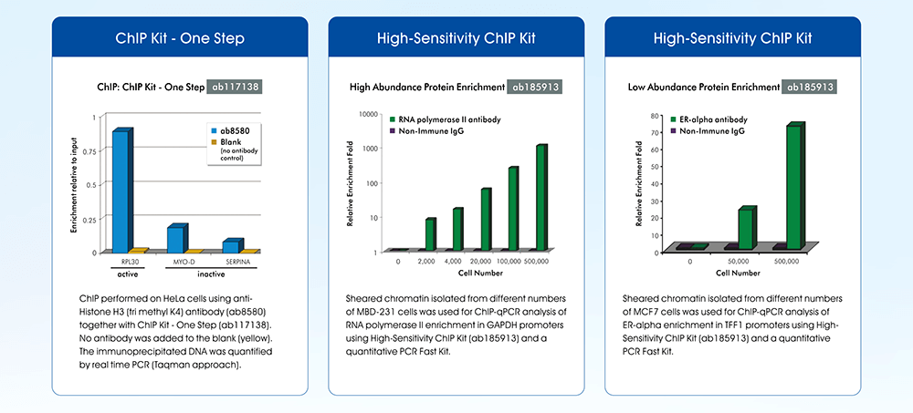 Abcam ChIP Kits 產品效能實驗數據圖