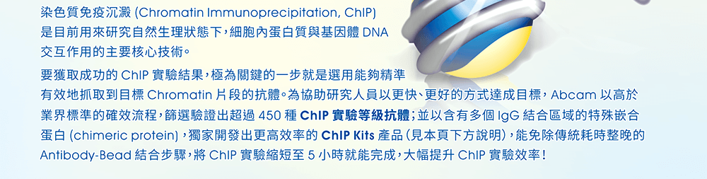染色質免疫沉澱(Chromatin Immunoprecipitation, ChIP)是目前用來研究自然生理狀態下，細胞內蛋白質與基因體DNA交互作用的主要核心技術。要獲取成功的ChIP實驗結果，極為關鍵的一步就是選用能夠精準有效地抓取到目標Chromatin片段的抗體。為協助研究人員以更快、更好的方式達成目標，Abcam以高於業界標準的確效流程，篩選驗證出超過450種ChIP實驗等級抗體；並以含有多個IgG結合區域的特殊嵌合蛋白(chimeric protein)，獨家開發出更高效率的ChIP Kits產品（見本頁下方說明），能免除傳統耗時整晚的Antibody-Bead結合步驟，將ChIP實驗縮短至5小時就能完成，大幅提升ChIP實驗效率！