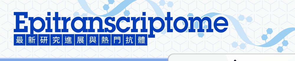 Epitranscriptome 最新研究進展與熱門抗體 Anti-m6A & Anti-m1A antibody 