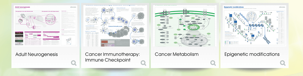 檢視海報：Adult Neurogenesis, Cancer Immunotherapy: Immune Checkpoint, Cancer Metabolism, Epigenetic modifications