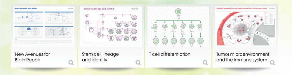 檢視海報：New Avenues for Brain Repair, Stem cell lineage and identity, T cell differentiation, Tumor microenvironment and the immune system