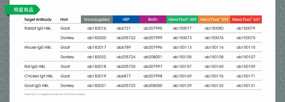 Abcam 二級抗體明星商品列表