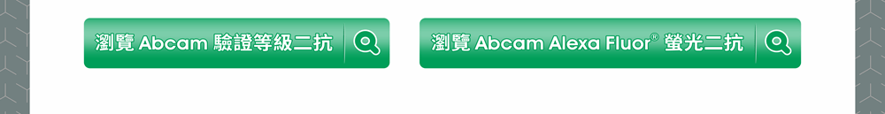 前往瀏覽 Abcam【驗證等級二抗】與【Alexa Fluor® 螢光二抗】詳細產品介紹