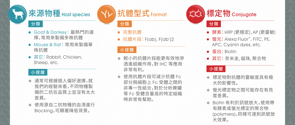 二級抗體選擇考量要點 1~3：來源物種、抗體型式、標定物