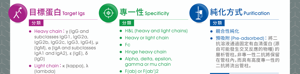 二級抗體選擇考量要點 4~6：目標蛋白、專一性、純化方式