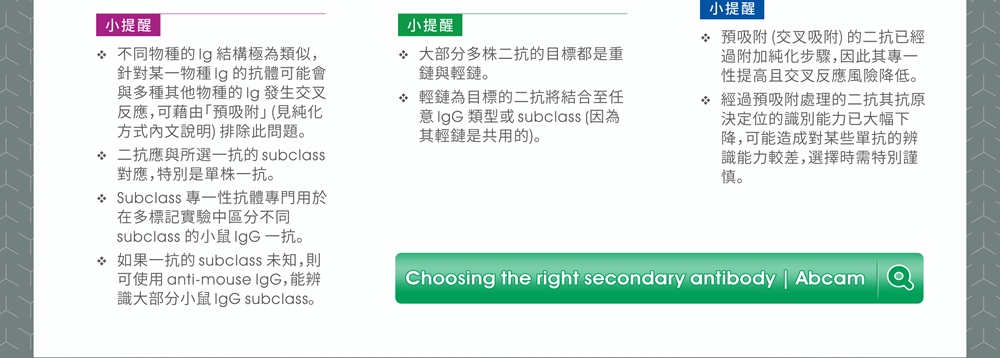 閱讀 Abcam 文章〈Choosing the right secondary antibody〉