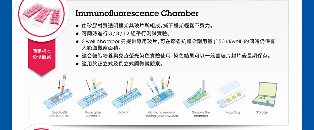 固定樣本影像觀察請採用「Immunofluorescence Chamber」。產品特性：●由矽膠材質透明框架與玻片所組成，撕下框架輕鬆不費力。 ●可同時進行 3 / 8 / 12 組平行測試實驗。 ●3 well chamber 另提供專用玻片，可在節省抗體染劑用量 (150 µl/well) 的同時仍保有大範圍觀察面積。 ●適合細胞培養與免疫螢光染色實驗使用，染色結果可以一般蓋玻片封片後長期保存。 ●用於正立式及倒立式顯微鏡觀察。 ※ [圖示] 3 Well Immunofluorescence Chamber 操作流程