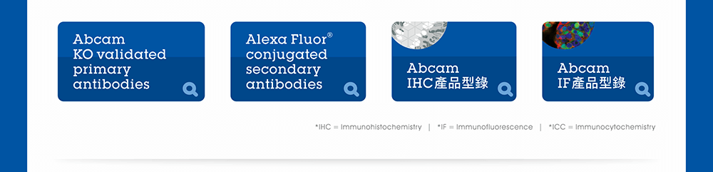 【連結與檔案下載】Abcam Knockout (KO) validated primary antibodies | Alexa Fluor® conjugated secondary antibodies | Abcam IHC 產品型錄 | Abcam IF 產品型錄