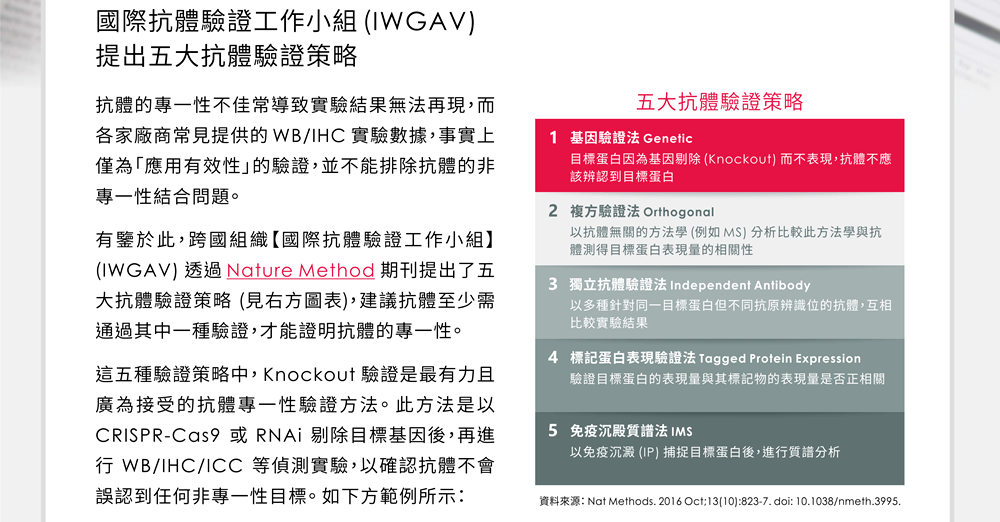 國際抗體驗證工作小組 (IWGAV) 提出五大抗體驗證策略 —— 抗體的專一性不佳常導致實驗結果無法再現，而各家廠商常見提供的 WB/IHC 實驗數據，事實上僅為「應用有效性」的驗證，並不能排除抗體的非專一性結合問題。有鑒於此，跨國組織【國際抗體驗證工作小組】 (IWGAV) 透過 Nature Method 期刊提出了五大抗體驗證策略 (見右方圖表)，建議抗體至少需通過其中一種驗證，才能證明抗體的專一性。這五種驗證策略中，Knockout 驗證是最有力且廣為接受的抗體專一性驗證方法。此方法是以 CRISPR-Cas9 或 RNAi 剔除目標基因後，再進行 WB/IHC/ICC 等偵測實驗，以確認抗體不會誤認到任何非專一性目標。如下方範例實驗所示。 [圖表] 五大抗體驗證策略：(1) 基因驗證法 Genetic : 目標蛋白因為基因剔除 (Knockout) 而不表現，抗體不應該辨認到目標蛋白 ; (2) 複方驗證法 Orthogonal : 以抗體無關的方法學 (例如 MS) 分析比較此方法學與抗體測得目標蛋白表現量的相關性; (3) 獨立抗體驗證法 Independent Antibody 以多種針對同一目標蛋白但不同抗原辨識位的抗體，互相比較實驗結果; (4) 標記蛋白表現驗證法 Tagged Protein Expression : 驗證目標蛋白的表現量與其標記物的表現量是否正相關; (5) 免疫沉殿質譜法 IMS : 以免疫沉澱 (IP) 捕捉目標蛋白後，進行質譜分析。 (資料來源：Nat Methods. 2016 Oct;13(10):823-7. doi: 10.1038/nmeth.3995.)