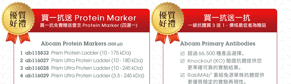 【買一抗送 Protein Marker】Abcam Protein Markers (500 µl) - ab115832  Prism Protein Ladder (10 - 175 kDa), ab116027  Prism Ultra Protein Ladder (10 - 180 kDa), ab116028  Prism Ultra Protein Ladder (10 - 245 kDa), ab116029  Prism Ultra Protein Ladder (3.5 - 245 kDa)。 【一級抗體買3送1優惠】超過 66,500 種產品選擇 | Knockout (KO) 驗證抗體提供您更準確可靠的實驗結果 | RabMAb® 重組兔源單株抗體提供更優質穩定的實驗再現性 | Alexa Fluor® 螢光一抗帶來更清晰、明亮、持久的影像數據。