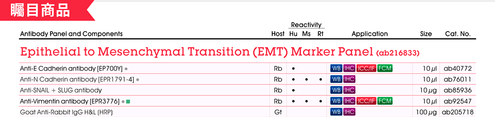 Abcam 抗體組合包矚目商品 - Epithelial to Mesenchymal Transition (EMT) Marker Panel (ab216833)