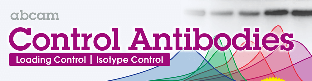 Abcam Control 抗體全面 8 折限時特賣 | Loading Control ‧ Isotype Control