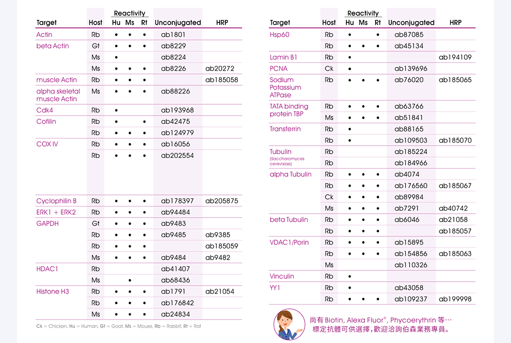 Abcam Loading Control 抗體暢銷產品 ※尚有 Biotin, Alexa Fluor®, Phycoerythrin 等…標定抗體可供選擇，歡迎洽詢伯森業務專員。