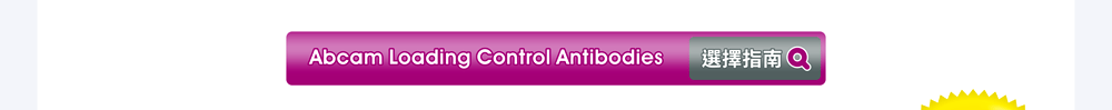 [連結] Abcam Loading Control Antibodies 選擇指南