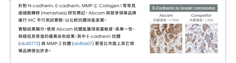 針對 N-cadherin, E-cadherin, MMP-2, Collagen I 等常見癌細胞轉移 (metastasis) 研究標記， Abcam 與競爭領導品牌進行 IHC 平行測試實驗，以比較抗體效能差異。實驗結果顯示，使用 Abcam 抗體能獲得高靈敏度、高專一性、與極低背景值的優異染色結果，其中 E-cadherin 抗體 (ab40772) 與 MMP-2 抗體 (ab86607) 更是比市面上其它領導品牌傑出許多。