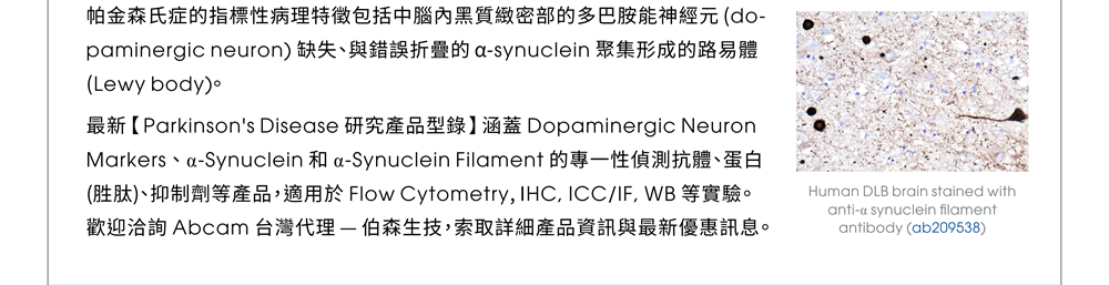 帕金森氏症的指標性病理特徵包括中腦內黑質緻密部的多巴胺能神經元 (dopaminergic neuron) 缺失、與錯誤折疊的 α-synuclein 聚集形成的路易體 (Lewy body)。 最新【Parkinson's Disease 研究產品型錄】涵蓋 Dopaminergic Neuron Markers 、 α-Synuclein 和 α-Synuclein Filament 的專一性偵測抗體、蛋白 (胜肽)、抑制劑等產品，適用於 Flow Cytometry, IHC, ICC/IF, WB 等實驗。歡迎洽詢 Abcam 台灣代理 — 伯森生技，索取詳細產品資訊與最新優惠訊息。