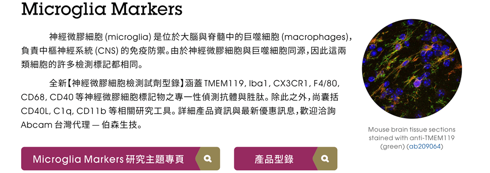 Microglia Markers — 神經微膠細胞 (microglia) 是位於大腦與脊髓中的巨噬細胞 (macrophages)，負責中樞神經系統 (CNS) 的免疫防禦。由於神經微膠細胞與巨噬細胞同源，因此這兩類細胞的許多檢測標記都相同。 全新【神經微膠細胞檢測試劑型錄】涵蓋 TMEM119, Iba1, CX3CR1, F4/80, CD68, CD40 等神經微膠細胞標記物之專一性偵測抗體與胜肽。除此之外，尚囊括 CD40L, C1q, CD11b 等相關研究工具。 詳細產品資訊與最新優惠訊息，歡迎洽詢 Abcam 台灣代理 — 伯森生技。 [連結] Microglia Markers 研究主題專頁 / [連結] Microglia Markers 產品型錄 / [連結] Anti-TMEM119 antibody [28-3] (ab209064)
