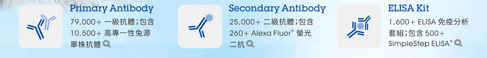 [連結] Primary Antibody // [連結] Secondary Antibody // [連結] ELISA Kit