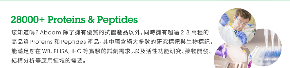 28000+ Proteins & Peptides — 您知道嗎？ Abcam 除了擁有優質的抗體產品以外，同時擁有超過 2.8 萬種的高品質 Proteins 和 Peptides 產品，其中蘊含絕大多數的研究標靶與生物標記，能滿足您在 WB, ELISA, IHC 等實驗的試劑需求，以及活性功能研究、藥物開發、結構分析等應用領域的需要。