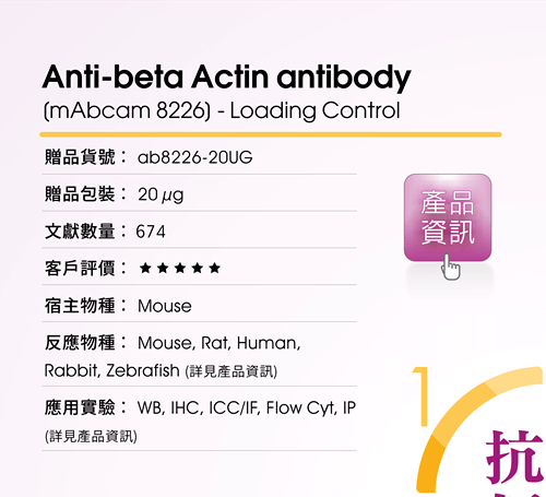 <贈品選項 1> Anti-beta Actin antibody [mAbcam 8226] - Loading Control (ab8226-20UG) : 五星級客戶滿意度，674 篇發表文獻， 適用於 WB, IHC, ICC/IF, Flow Cyt, IP 等應用實驗，適用物種涵蓋 Mouse, Rat, Human, Rabbit, Zebrafish 等。