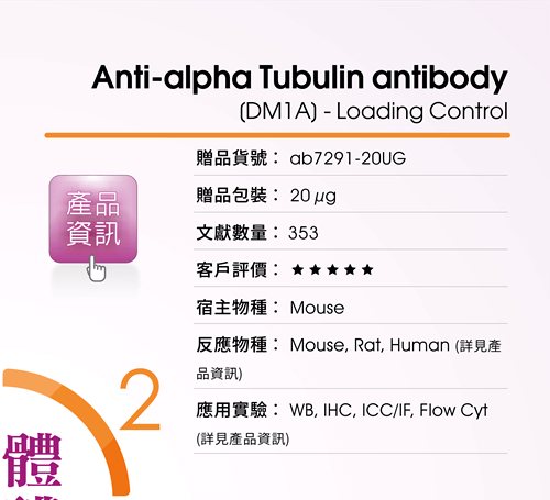 <贈品選項 2> Anti-alpha Tubulin antibody [DM1A] - Loading Control (ab7291-20UG) : 五星級客戶滿意度，353 篇發表文獻， 適用於 WB, IHC, ICC/IF, Flow Cyt 等應用實驗，適用物種涵蓋 Mouse, Rat, Human 等。