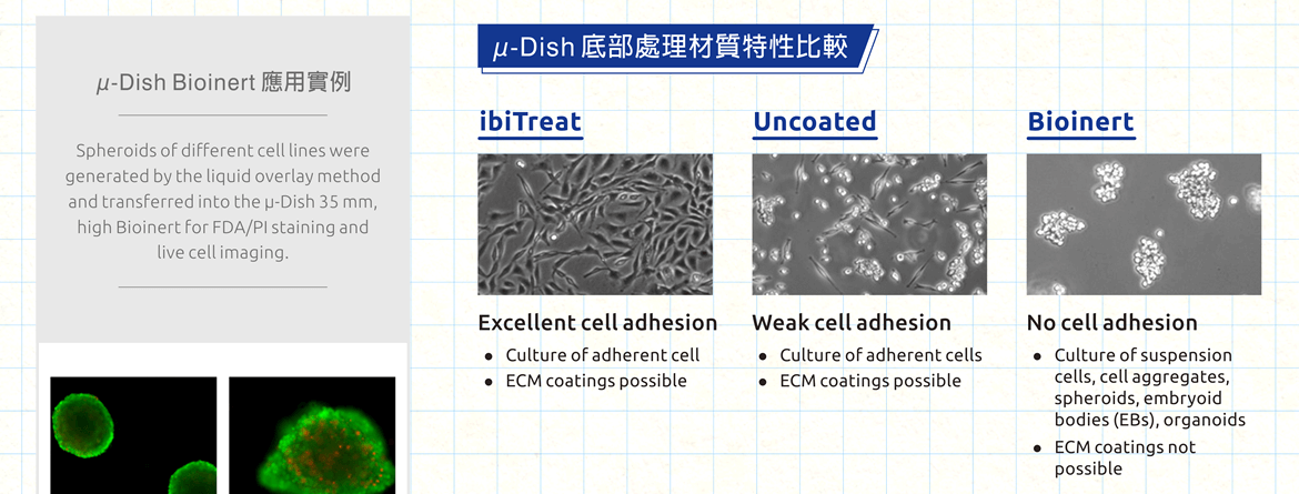 µ-Dish 底部處理材質特性比較 - ■ ibiTreat: Excellent cell adhesion ■ Uncoated: Weak cell adhesion ■ Bioinert: No cell adhesion。 μ-Dish Bioinert 應用實例 - Spheroids of different cell lines (HepG2, HT1080, HUVEC, MCF7) were generated by the liquid overlay method and transferred into the μ-Dish 35 mm, high Bioinert for FDA/PI staining and live cell imaging.