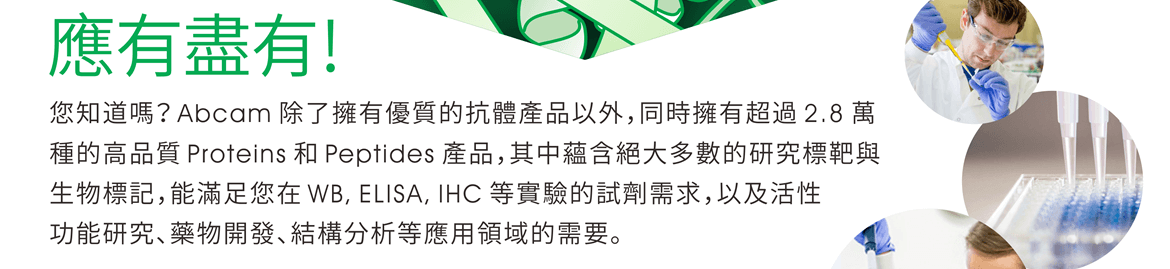 應有盡有! 您知道嗎？Abcam 除了擁有優質的抗體產品以外，同時擁有超過 2.8 萬種的高品質 Proteins 和 Peptides 產品，其中蘊含絕大多數的研究標靶與生物標記，能滿足您在 WB, ELISA, IHC 等實驗的試劑需求，以及活性功能研究、藥物開發、結構分析等應用領域的需要。