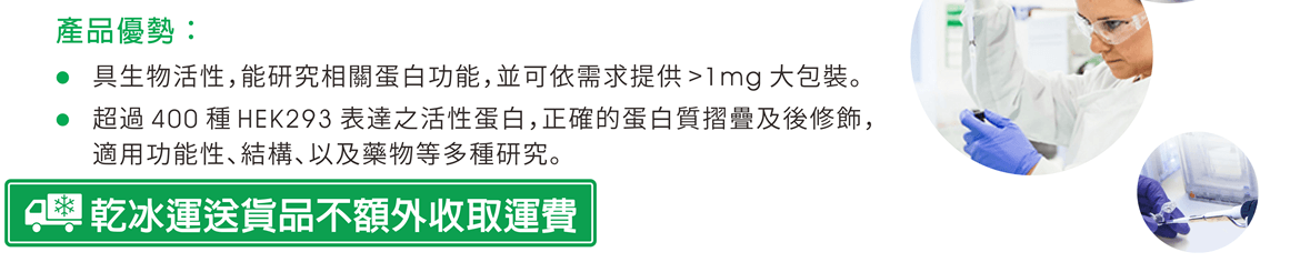 產品優勢：●具生物活性，能研究相關蛋白功能，並可依需求提供 >1mg 大包裝。●超過 400 種 HEK293 表達之活性蛋白，正確的蛋白質摺疊及後修飾，適用功能性、結構、以及藥物等多種研究。 ●乾冰運送貨品不額外收取運費！