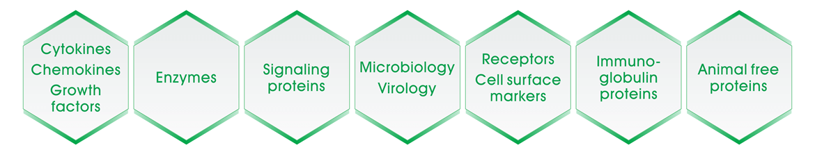 產品類別：Cytokines, chemokines and growth factors, Enzymes, Signaling proteins, Microbiology and Virology, Receptors and cell surface markers, Immunoglobulin proteins, Animal free proteins