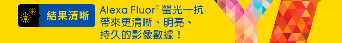 Abcam 一級抗體結果清晰 — Alexa Fluor® 螢光一抗帶來更清晰、明亮、持久的影像數據！