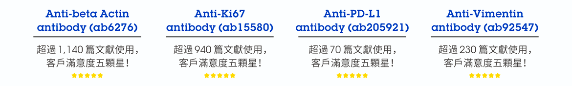 Abcam 明星一抗產品：Anti-beta Actin antibody (ab6276) / Anti-Ki67 antibody (ab15580) / Anti-PD-L1 antibody (ab205921) / Anti-Vimentin antibody (ab92547)