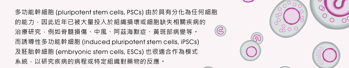 多功能幹細胞 (pluripotent stem cells, PSCs) 由於具有分化為任何細胞的能力，因此近年已被大量投入於組織損壞或細胞缺失相關疾病的治療研究，例如脊髓損傷、中風、阿茲海默症、黃斑部病變等。而誘導性多功能幹細胞 (induced pluripotent stem cells, iPSCs) 及胚胎幹細胞 (embryonic stem cells, ESCs) 也很適合作為模式系統，以研究疾病的病程或特定組織對藥物的反應。