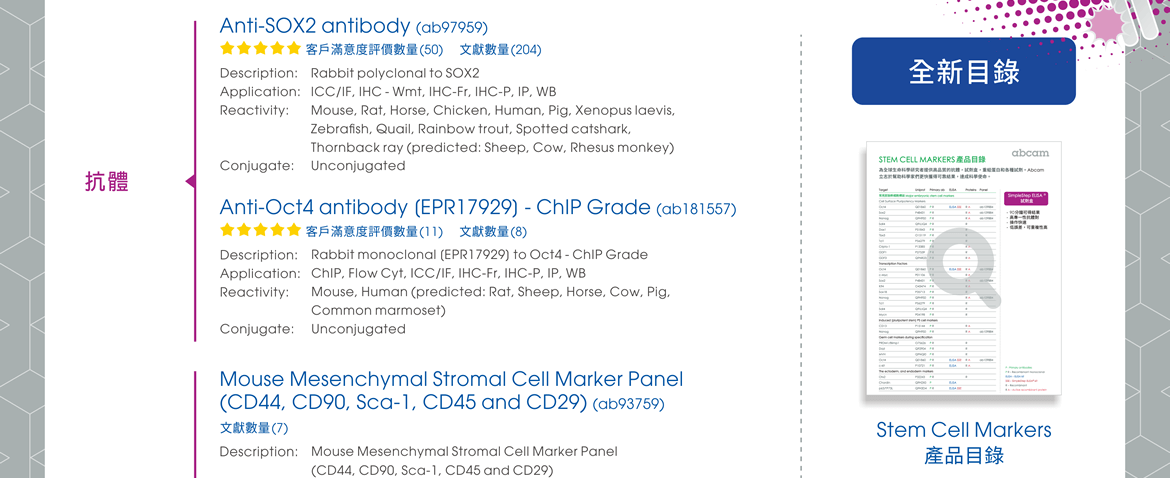 抗體 —— Anti-SOX2 antibody (ab97959), Anti-Oct4 antibody [EPR17929] - ChIP Grade (ab181557) | 抗體組合 —— Mouse Mesenchymal Stromal Cell Marker Panel (CD44, CD90, Sca-1, CD45 and CD29) (ab93759)。全新目錄：Stem Cell Markers 產品目錄