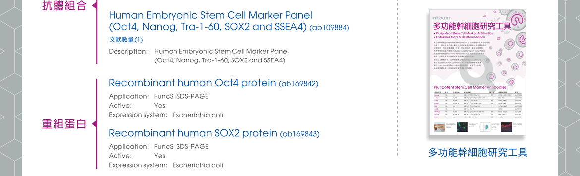 抗體組合 —— Human Embryonic Stem Cell Marker Panel (Oct4, Nanog, Tra-1-60, SOX2 and SSEA4) (ab109884) | 重組蛋白 —— Recombinant human Oct4 protein (ab169842), Recombinant human SOX2 protein (ab169843)。全新目錄：多功能幹細胞研究工具