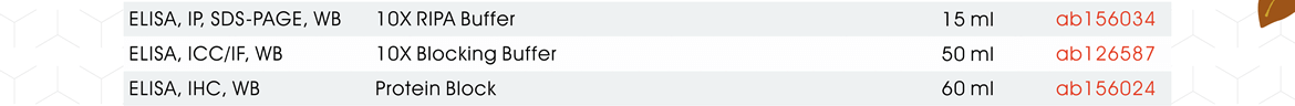 10X RIPA Buffer (ab156034), 10X Blocking Buffer (ab126587), Protein Block (ab156024)