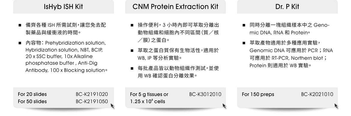 更多推薦產品：●IsHyb ISH Kit — 備齊各種 ISH 所需試劑，讓您免去配製藥品與緩衝液的時間。內容物： Prehybridization solution, Hybridization solution, NBT, BCIP, 20 x SSC buffer, 10x Alkaline phosphatase buffer , Anti-Dig Antibody, 100 x Blocking solution。 ●CNM Protein Extraction Kit — 操作便利， 3 小時內即可萃取分離出動物組織和細胞內不同區間（質／核／膜）之蛋白。萃取之蛋白質保有生物活性，適用於 WB, IP 等分析實驗。每批產品皆以動物組織作測試，並使用 WB 確認蛋白分離效果。 ●Dr. P Kit — 同時分離一塊組織樣本中之 Geno-mic DNA, RNA 和 Protein。萃取產物適用於多種應用實驗， Genomic DNA 可應用於 PCR ； RNA 可應用於 RT-PCR, Northern blot ； Protein 則適用於 WB 實驗。