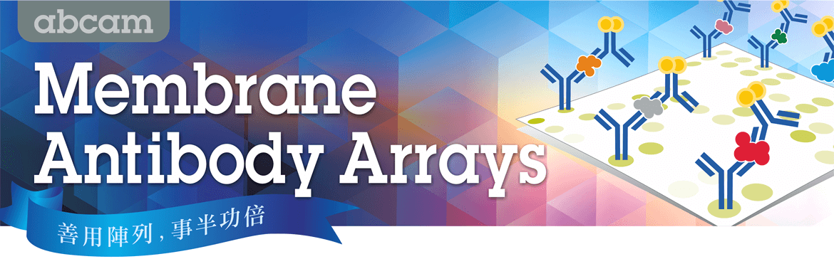 善用陣列，事半功倍 — Abcam Membrane Antibody Arrays