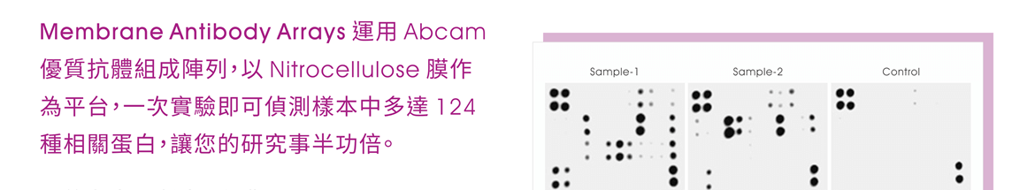 Membrane Antibody Arrays 運用 Abcam 優質抗體組成陣列，以 Nitrocellulose 膜作為平台，一次實驗即可偵測樣本中多達 124 種相關蛋白，讓您的研究事半功倍。