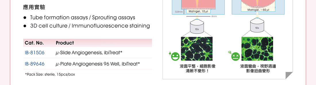 µ-Slide Angiogenesis 應用實驗：Tube formation assays / Sprouting assays / 3D cell culture / Immunofluorescence staining。 訂購資訊：µ-Slide Angiogenesis, ibiTreat (IB-81506) | µ-Plate Angiogenesis 96 Well, ibiTreat (IB-89646)