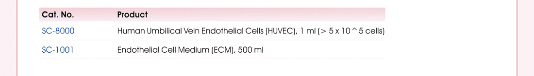 訂購資訊：Human Umbilical Vein Endothelial Cells (HUVEC), 1 ml (> 5 x 10^5 cells) (SC-8000) | Endothelial Cell Medium (ECM), 500 ml (SC-1001)