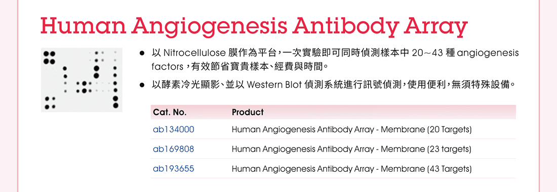 Human Angiogenesis Antibody Array —— 以 Nitrocellulose 膜作為平台，一次實驗即可同時偵測樣本中 20~43 種 angiogenesis factors ，有效節省寶貴樣本、經費與時間。並以酵素冷光顯影、Western Blot 偵測系統進行訊號偵測，使用便利，無須特殊設備。 訂購資訊：Human Angiogenesis Antibody Array - Membrane (20 Targets) (ab134000) | Human Angiogenesis Antibody Array - Membrane (23 Targets) (ab169808) | Human Angiogenesis Antibody Array - Membrane (43 Targets) (ab193655)